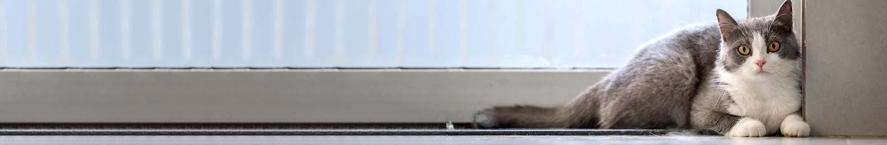 Northwest Veterinary Clinic of Stanwood Northwest Veterinary Clinic of Stanwood