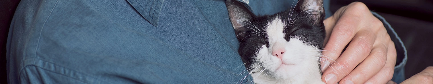 Oak Grove Animal Hospital Oak Grove Animal Hospital