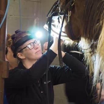 Dr. Clare O'Connor Dr. Clare O'Connor