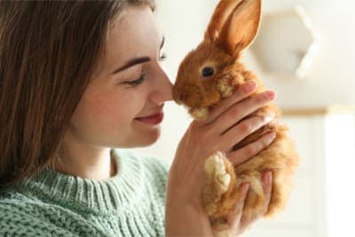 Rabbit Lifespan: How Long Do Pet Rabbits Live? Rabbit Lifespan: How Long Do Pet Rabbits Live?