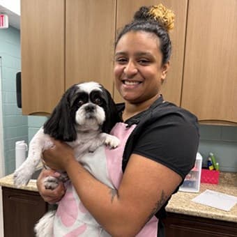 Aleyana McQuillan Aleyana McQuillan