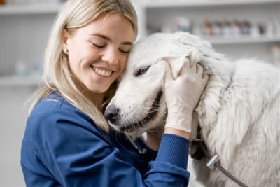 Big & Beautiful: Tailoring a Wellness Plan for Large-Breed Dogs Big & Beautiful: Tailoring a Wellness Plan for Large-Breed Dogs