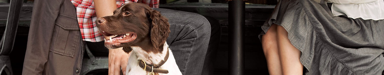 Welcome to Red Hills Veterinary Hospital Welcome to Red Hills Veterinary Hospital