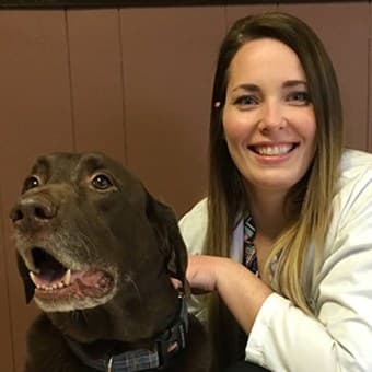 Dr. Kimberly AndersonsEmergency Dr. Kimberly AndersonsEmergency