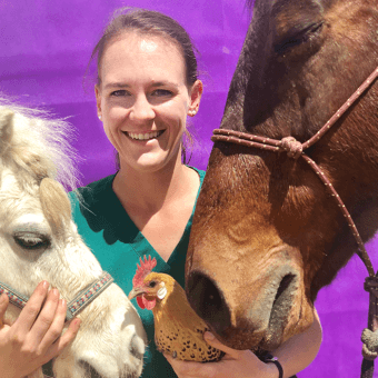 Dr. Madelyn Melchiors Dr. Madelyn Melchiors