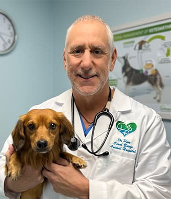 Dr. Peter Pion Dr. Peter Pion