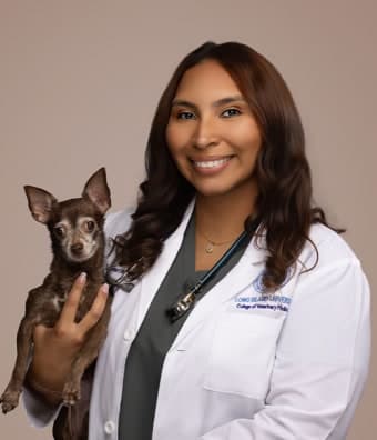 Dr. Jailene Rivera Dr. Jailene Rivera