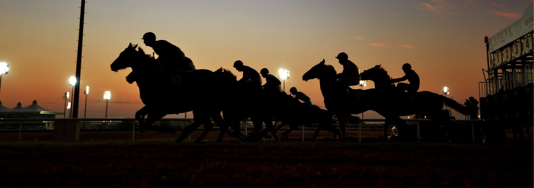 Bluegrass Equine Surgery Hero Image Bluegrass Equine Surgery Hero Image