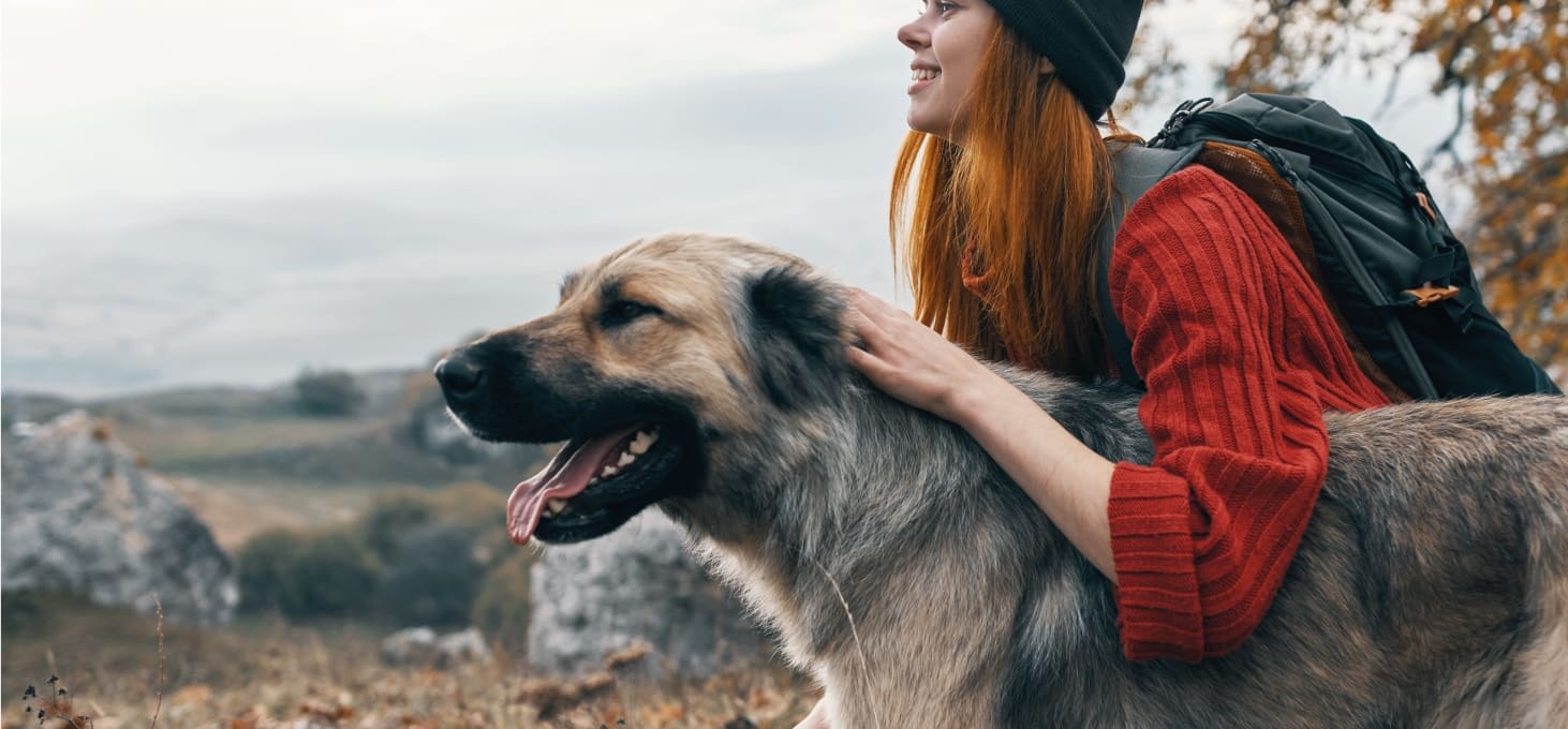 West Gate Veterinary Hospital Hero Image West Gate Veterinary Hospital Hero Image