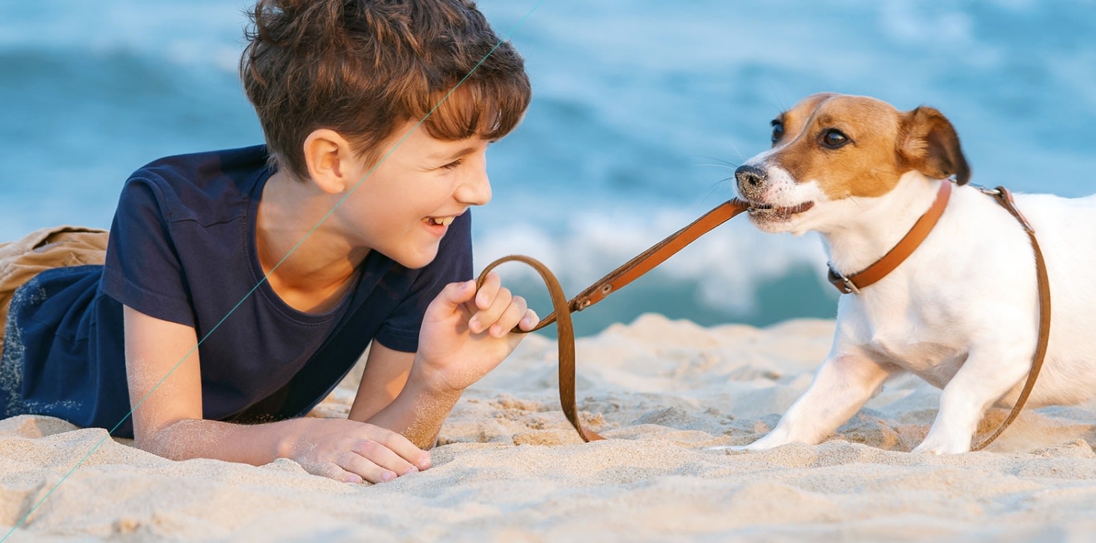 Surfside Animal Hospital Hero Image Surfside Animal Hospital Hero Image