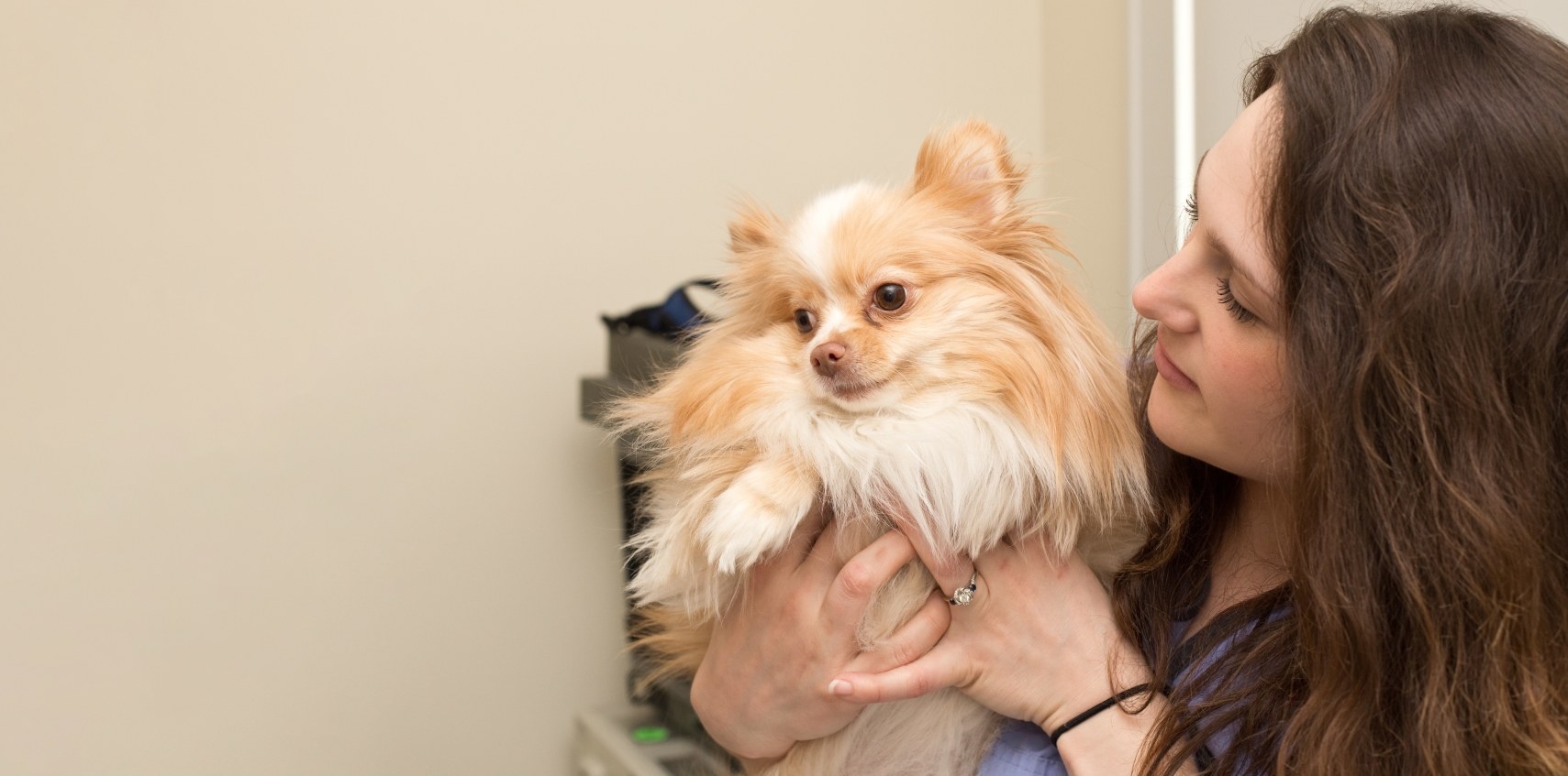 South Wilton Veterinary Group Hero Image South Wilton Veterinary Group Hero Image